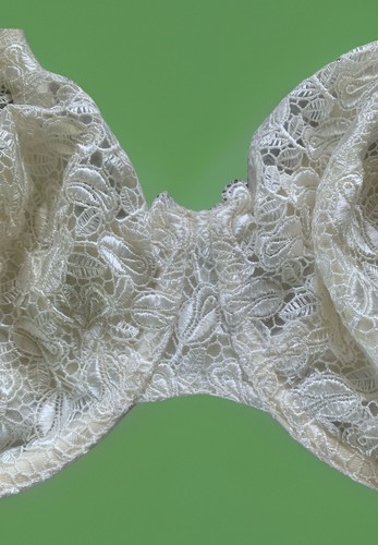 Vtg Playtex Secrets #4302 Embroidered Rosebud Lace Shaping Bra 36DD Ivory - Picture 4 of 7