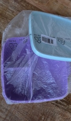 Tupperware Lunchbox Clevere Pause 550 ml mit Trennwand