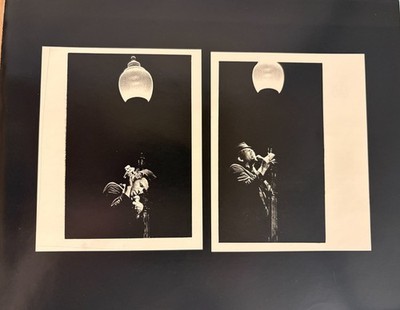 TOM WAITS 1970s Original Photograph Contact Print 8x10 Terrance Bert