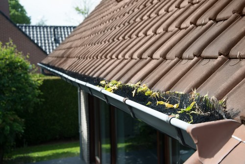 10 Meter Dachrinnenbürste Laubschutz Marderschutz Rinnenraupe Dachrinnenschutz - Bild 5 von 10