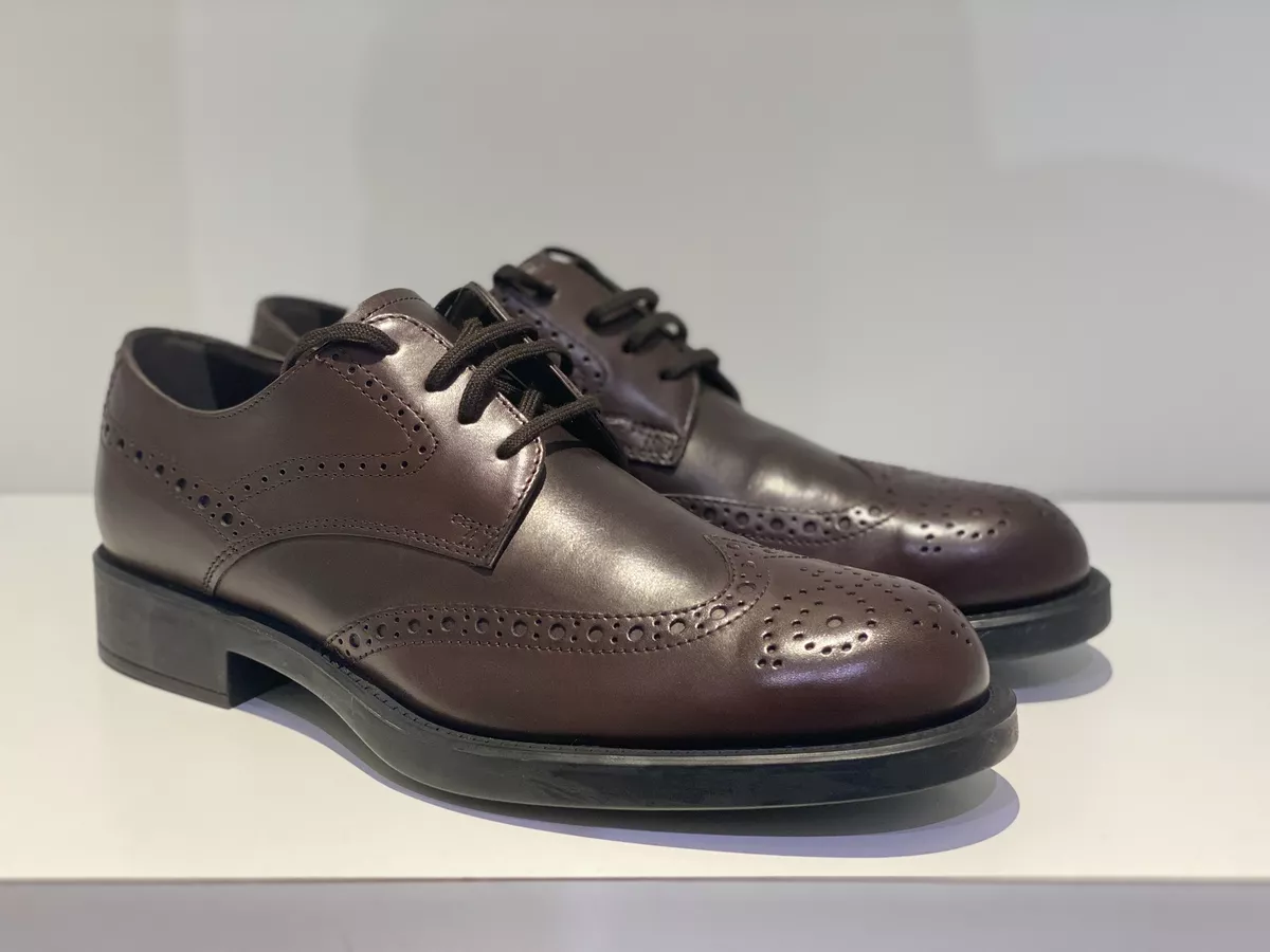 TOD S UOMO DANDY DERBY INGLESE MARRONE