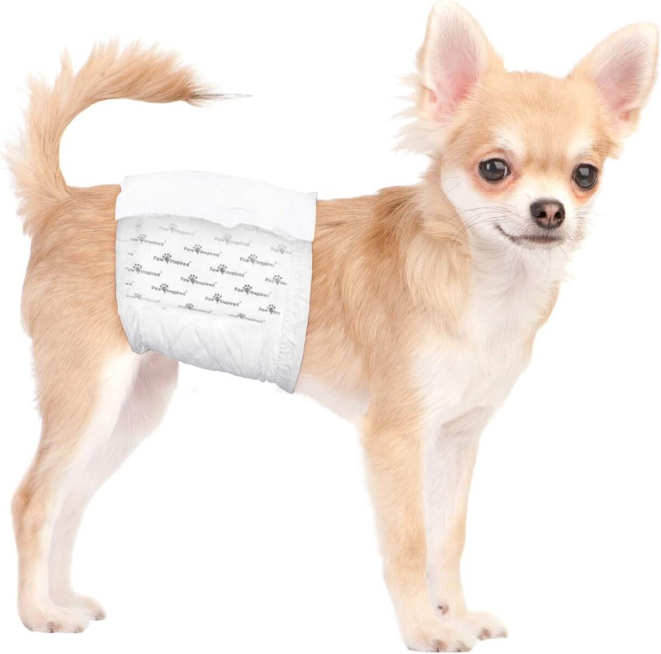 Disposable Male Dog Wraps, Belly Band for Dogs Disposable Dog Diapers