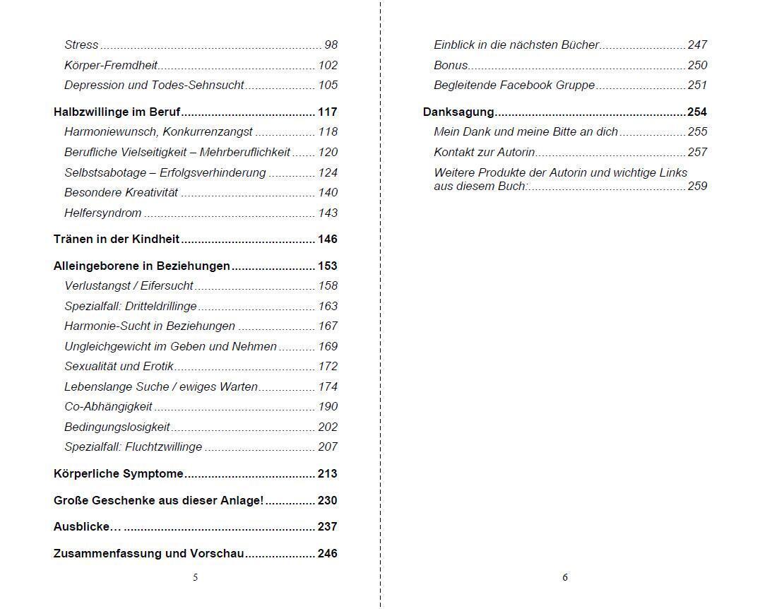 Thumbnail - Alleingeborener Zwilling? Michelle Haintz Taschenbuch Paperback 260 S.