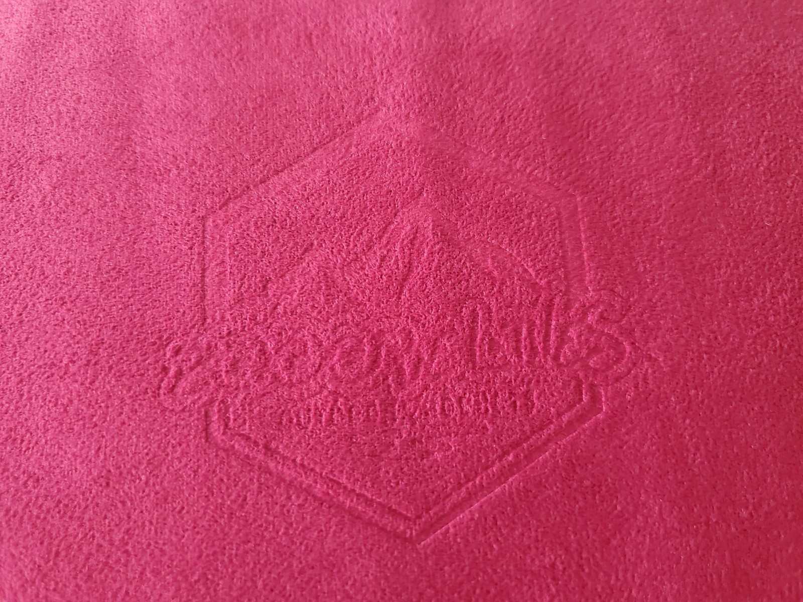 Down Filled Pillows for Camping/Travel Washable Soft Cover RED