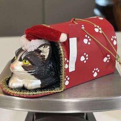 Dillards Trimmings Christmas Ornament Blown Glass Cat Mailbox Pet  W/tags