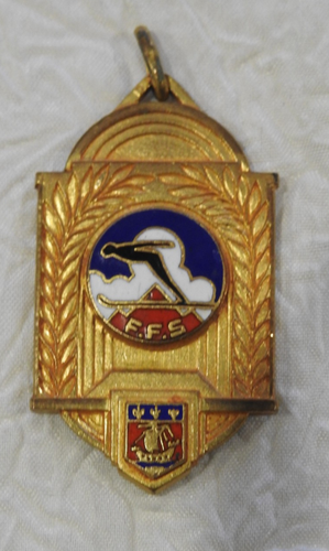 SK602 INSIGNE FEDERATION FRANCAISE ECOLE DE SKI CRISTAL | UK