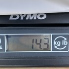 Bild 10 von 10