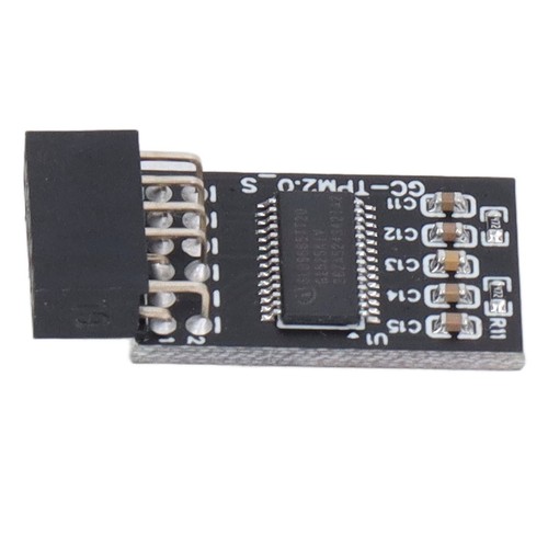 TPM 2.0 Module LPC SPI 12Pin Remote Card Encryption Security Board Accessory. - Afbeelding 19 van 24