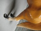 Picture 3 of 8