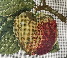 Ehrman, Rare Retired Kaffe Fassett,Apples” Needlepoint Kit -part Started, 1990s