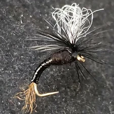 DRY FLY SIZE 14 TRICO LOOP WING EMERGER BLACK FRONTIER FISHING FLIES