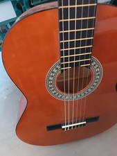 Martin Smith Guitar