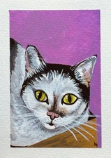 ACEO Original, Cat in a Box, Animal Pets Gouache Miniature Painting, B.Gauthier