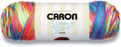 Caron Simply Soft Paints Acryl Wolle Garn 141g 0016 Regenbogen Bri