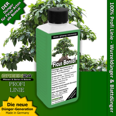 Ficus ginseng retusa microcarpa Bonsai Dünger, Chinesische Feige, flüssig düngen