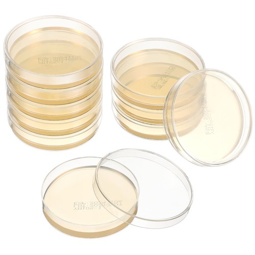10 Pcs Agar Plates Mycology Nutrient Prepoured Petri Dishes Dad Child Media - Bild 1 von 12