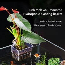 2Pcs Aquatic Plant Cup Hollowed Out Wall-mounted Plant Hydroponic Planting Cup