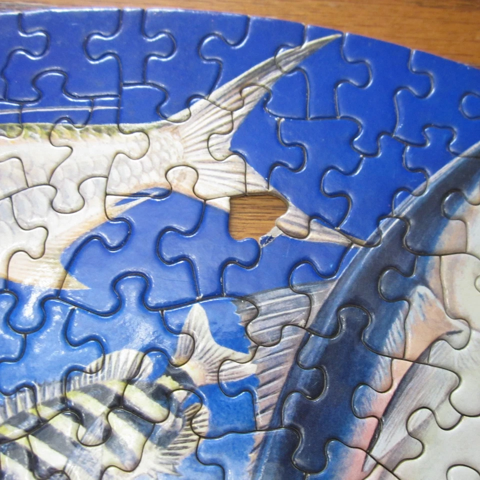 Vtg Springbok Saltwater Game Fish by Maynard Reece Circular Jigsaw Puzzle 1969 - Image 2 of 4