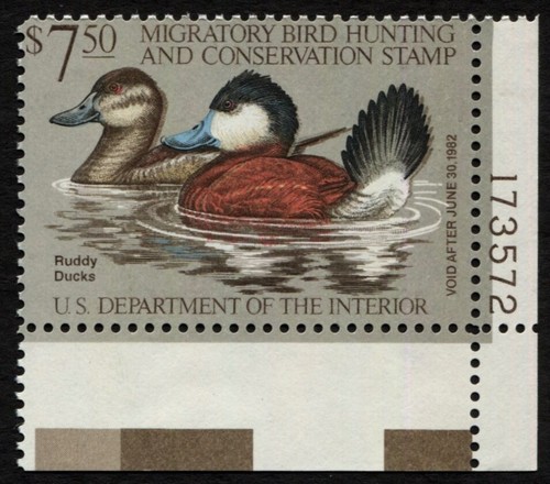 RW48 F/VF MNH Plate# Single 1981 Ruddy Ducks US Federal Duck Stamp Waterfowl - Picture 2 of 3