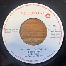 The Minstrels 45 rpm Vinyl 7" Reggae Hey There Lonely Girls Merritone