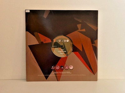 Amit    Second Cut / Immigrants 12'' Drum and Bass Jungle Vinyl Bingo Beats 2005
