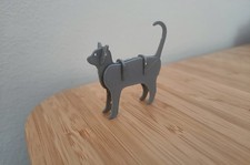 Cat Kit