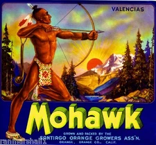 Orange County Mohawk Indian Orange Citrus Fruit Crate Label Art Print