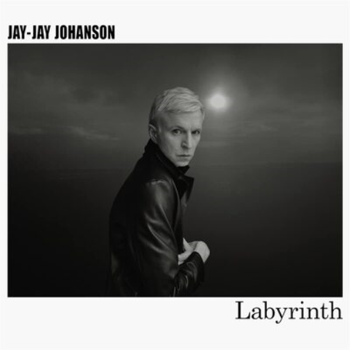 Jay-Jay Johanson Labyrinth (Vinyl LP) 12" Album