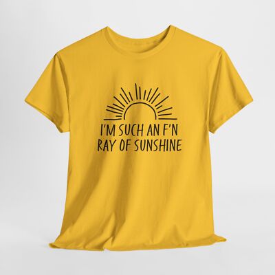 Funny Sarcastic I'm Such An F'n Ray or Sunshine Heavy Cotton T-Shirt, 5 Colors