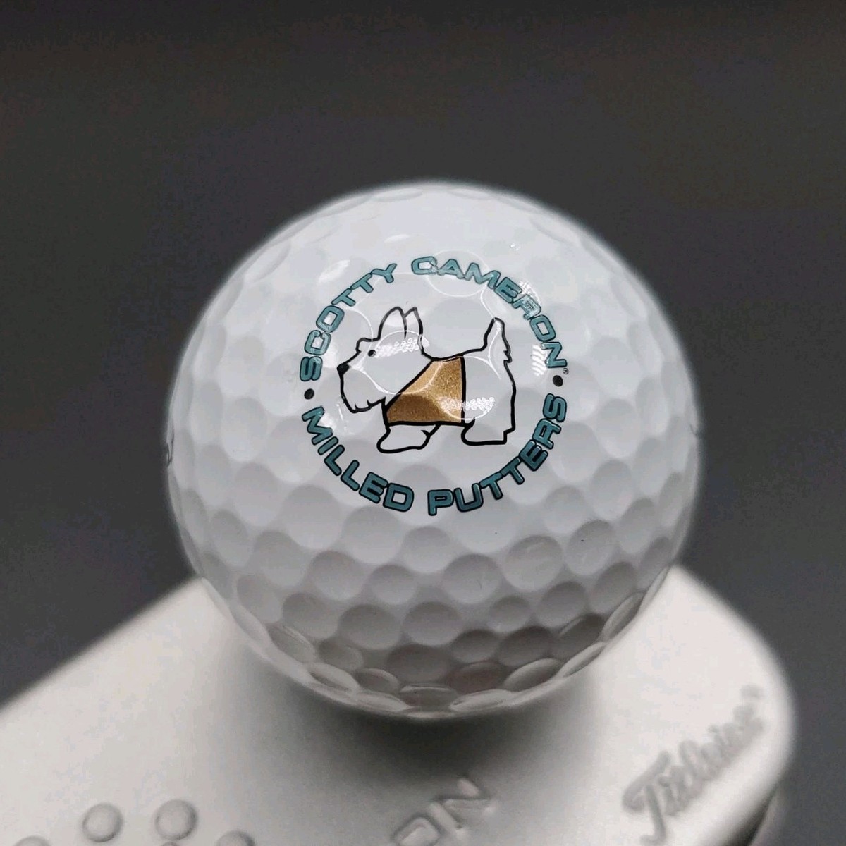 SCOTTY CAMERON SCOTTY DOG SEASIDE FESTIVAL LOGO TITLEIST PROV1