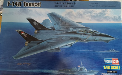 1:48 F-14B Tomcat  Hobby Boss