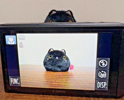 Canon IXY 10S 14.1MP Digital Camera Black 5x Zoom Touch Screen