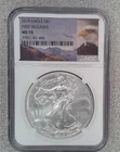 2015 BU American .999 Silver Eagle NGC MS70 (486)