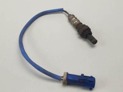 98AB9G444BB 1373594 lambdasonde FORD FOCUS BERLINA CAK 3P TREND 1.6 1998