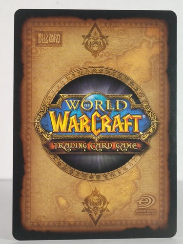 The Dying Balance - Through the Dark Portal - 315/319 - common - Warcraft - Picture 3 of 4