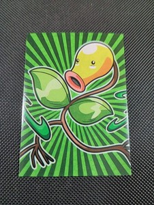 Peruvian Pokemon Cards | eBay