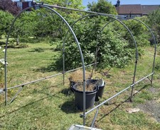 10ft polytunnel frame used (3m x 1.9m x 1.9m)