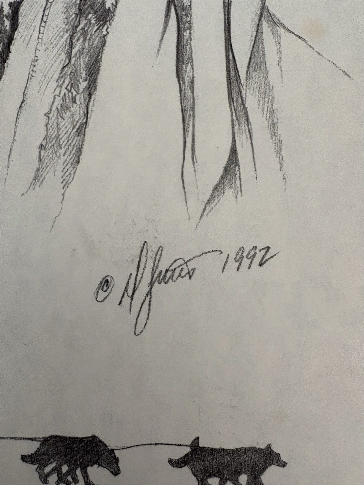 Picture 3 of 5