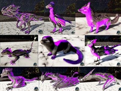  ARK Survival Ascended Nightmare Top Stats PVE PS5/XBOX/PC