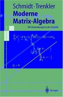 Moderne Matrix-Algebra. Mit Anwendungen in der Statistik... | Buch | Zustand gut