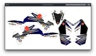 Fits Suzuki LTR450R GRAPHIC KIT STIKERS DECAL kit LTR 450r all years racing