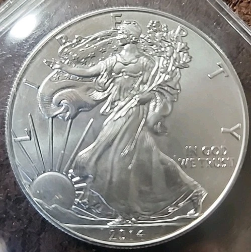 2014 Walking Liberty American Eagle Silver Dollar .999 Fine. Slight Edge Toning