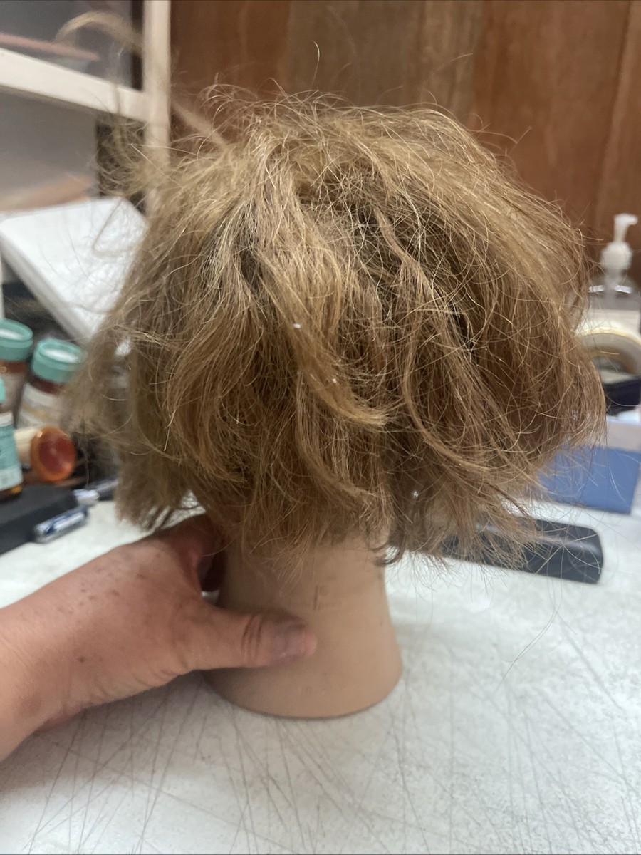 Tête De Mannequin Coiffure Vintage Pivot Point - Idéale Pour L'entraînement Ou La Déco !