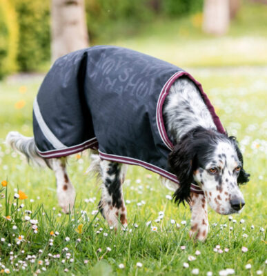 Horseware Amigo Ripstop Dog Rug 100g Navy HW Print/Burgandy & White Hundedecke