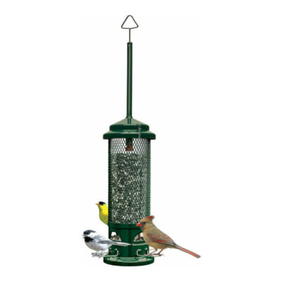 Squirrel Buster Legacy Squirrel-Proof Bird Feeder for Wild Birds   ... Fas