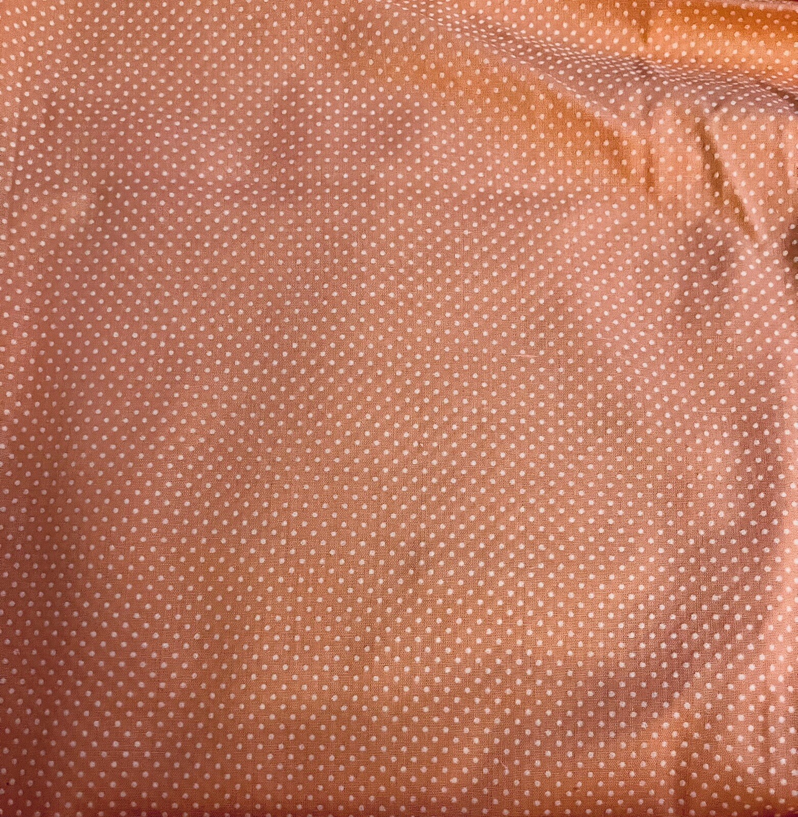 Picture 3 of 5
