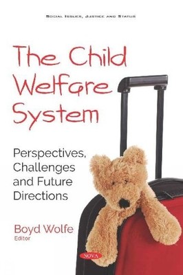 Boyd Wolfe The Child Welfare System (Taschenbuch)