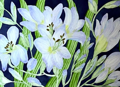 PAINTING WATERCOLOR 11X14 & DOUBLE MAT 16X20 FLOWER FREESIA BLUE LAVENDER PURPLE
