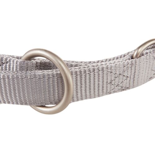 Wolters Cani Guinzaglio Professionale Classic extra Lungo Argento, Varie Misure, - Foto 3 di 3