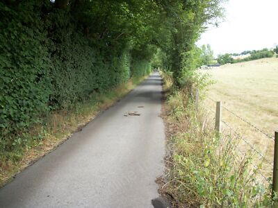 Foto 6x4 Pednor Bottom Chartridge c2010